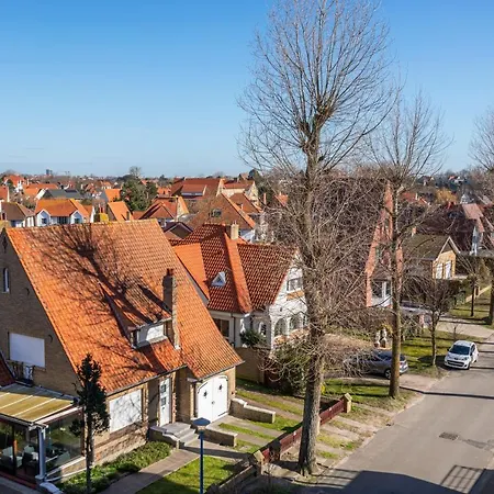 Zandroos Ii / 407 Coxyde